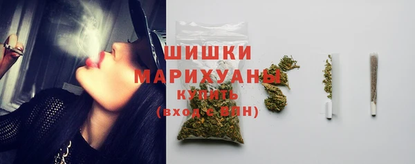 сатива Абинск