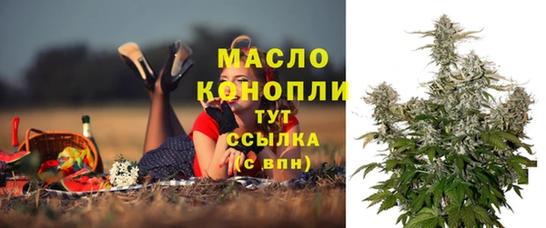 сатива Абинск